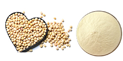 Soybean Powder