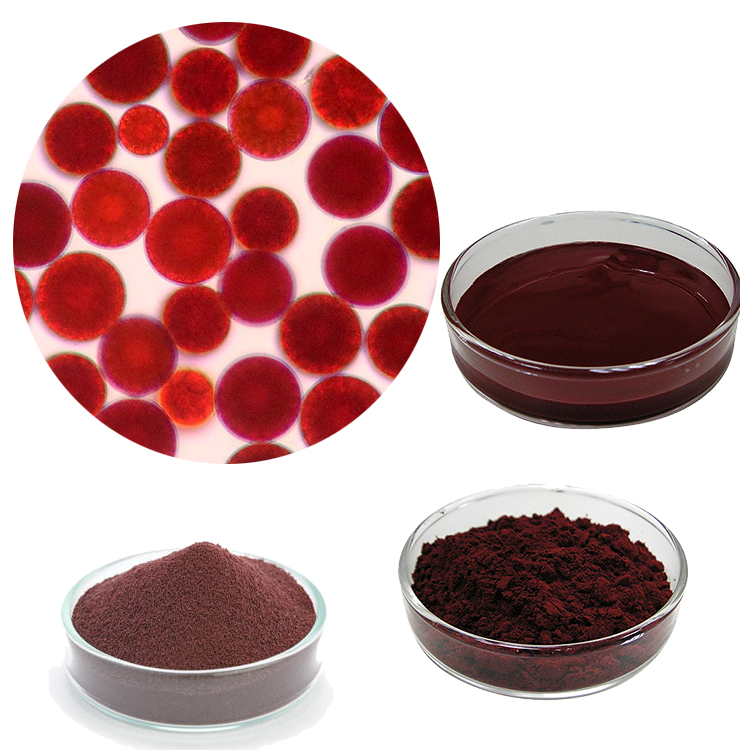 Hot Product-Natural Astaxanthin