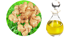 Aroma Ginger Oil
